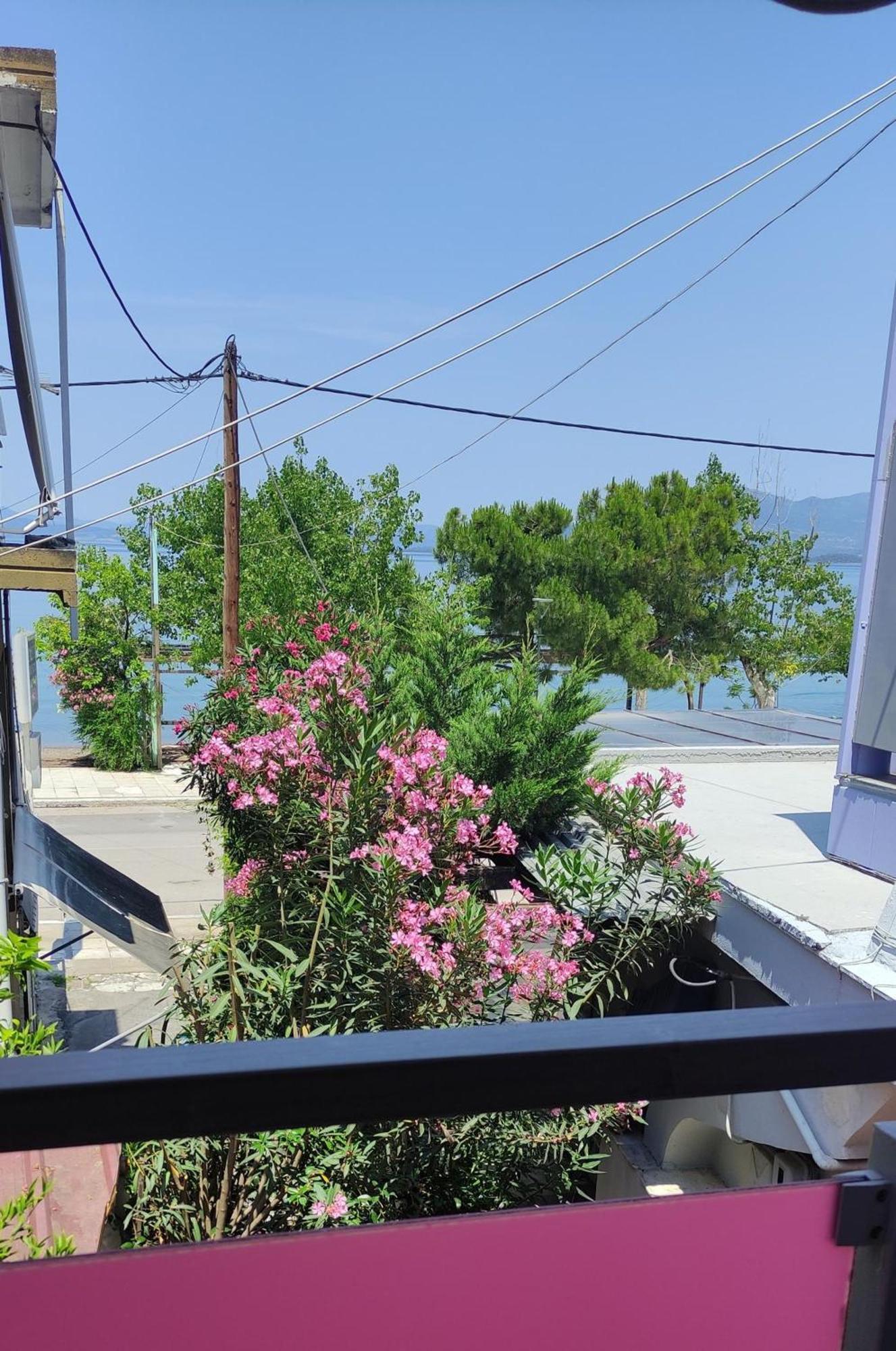 Okeania Seafront Rooms In Kamena Vourla Exteriör bild